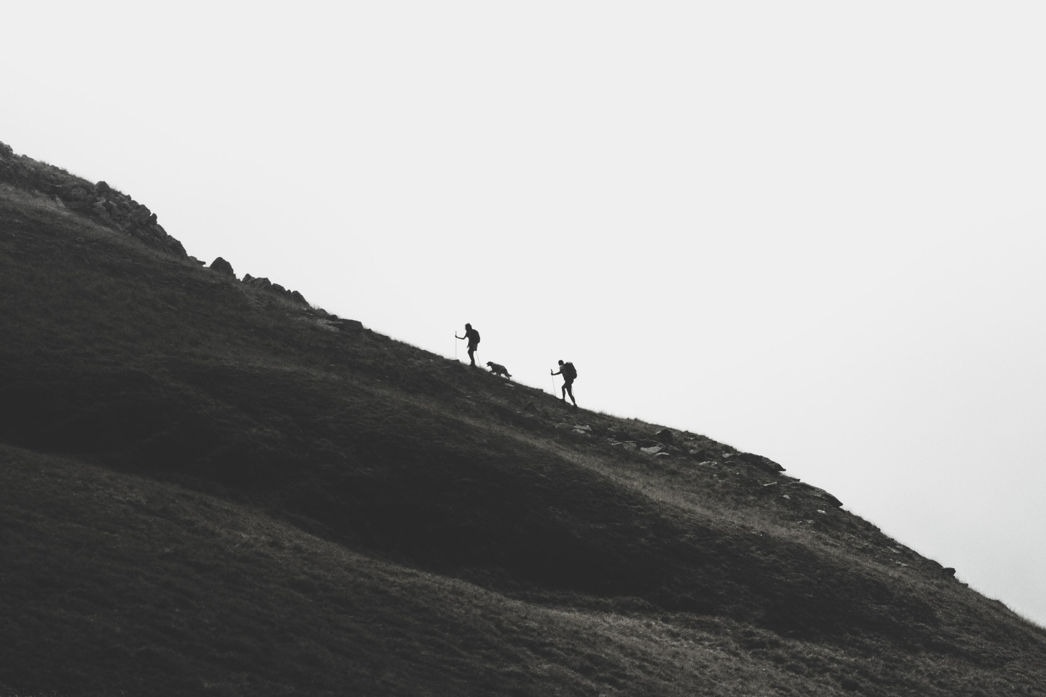Hikers and dog ascending a slope