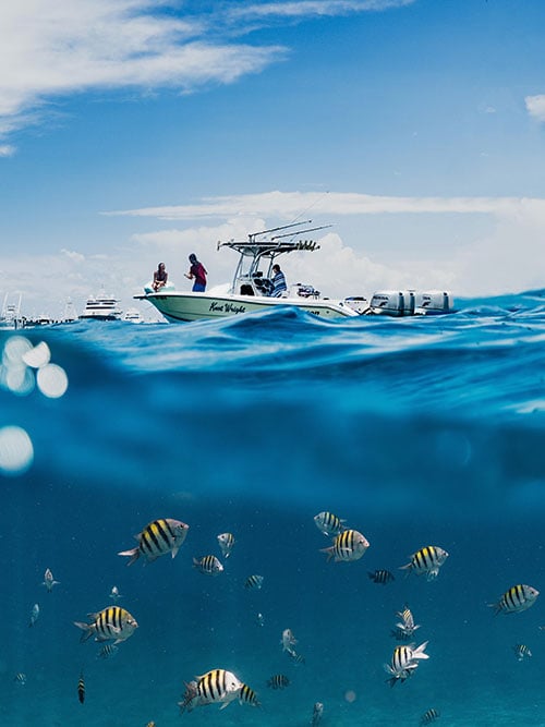 boat in ocean with fish