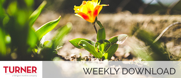 WEEKLY DOWNLOAD: Under the Influence