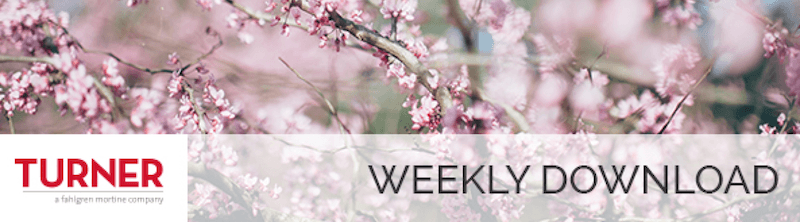 WEEKLY DOWNLOAD: Digital Spring Cleaning