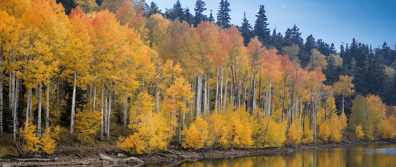 Never Mind New England: The Best Fall Foliage Vacation Spots That Aren't In The Northeast