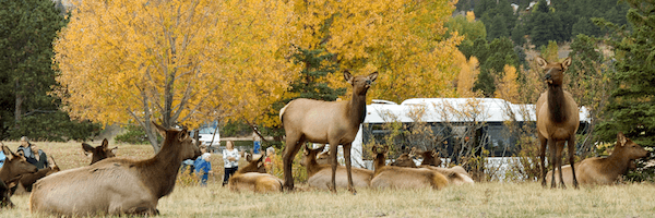 Beyond New England: The Best Fall Foliage Destinations