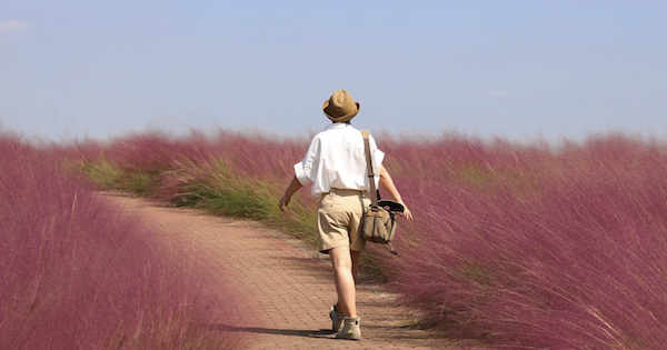 The Untapped Travel Audience Your Destination Is (Probably) Missing Out On